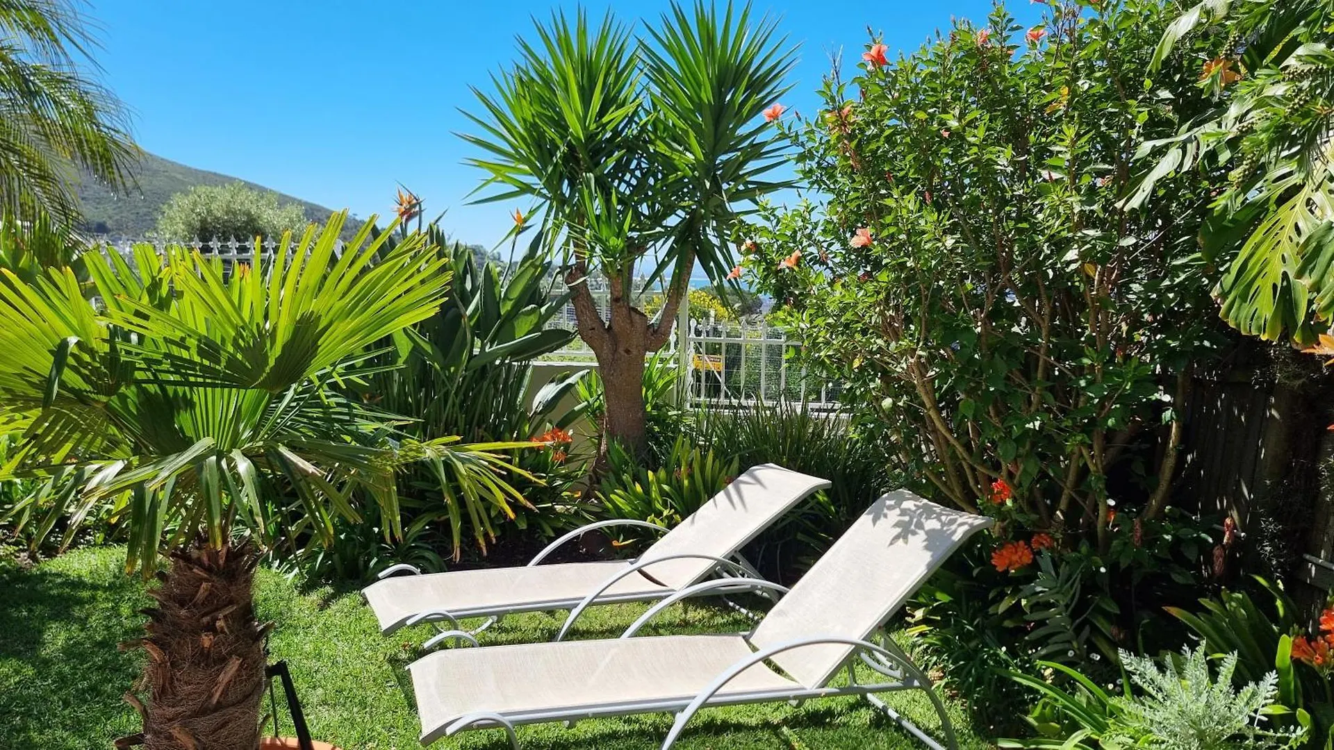 Garden Apartment Bay View Le Cap 0*,  Afrique du Sud